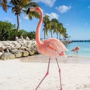 Meet your Posher, Melissa melton